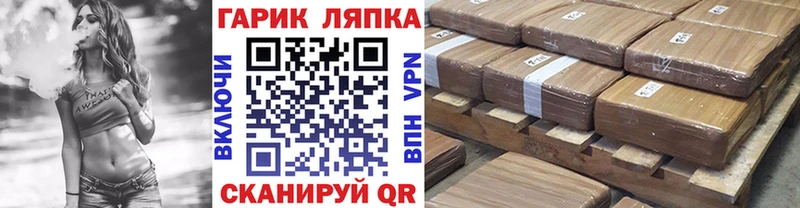 mega онион  Звенигово  ГАШИШ индика сатива 