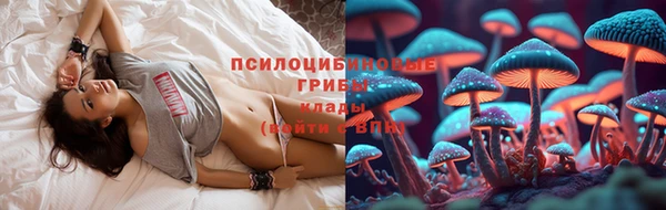 мяу мяу мука Алексеевка