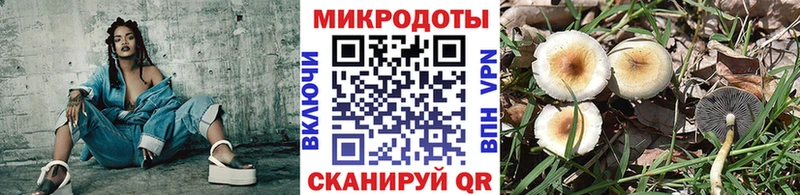 наркошоп  Звенигово  Галлюциногенные грибы Magic Shrooms 